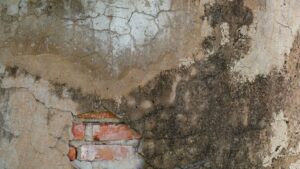 Aufsteigende Feuchtigkeit: erkennen, messen und mit Horizontalsperre stoppen