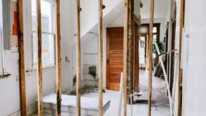 Hausschwamm erkennen: Anzeichen, Gefahr und was die Sanierung bedeutet